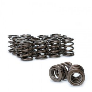 Acura Integra Valve Springs - Skunk2 Racing - Alpha Series Dual Springs - `94-`01 Acura Integra Valve Springs - Skunk2 Racing - Alpha Series Dual Springs - `94-`01